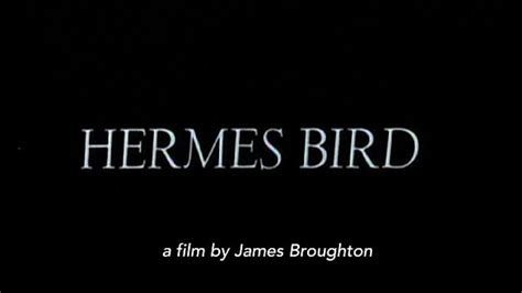 hermes bird full movie|Hermes Bird (1979): Where to Watch and Stream Online.